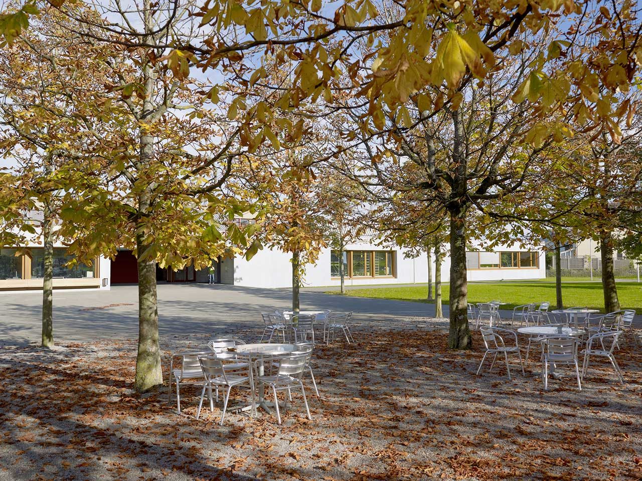 ks_romanshorn_1
