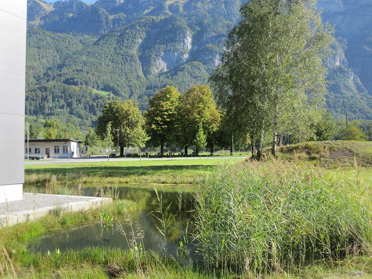 wp_walenstadt_2