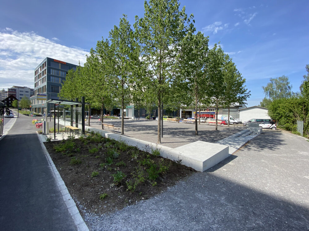 Lindenring_Bild 2