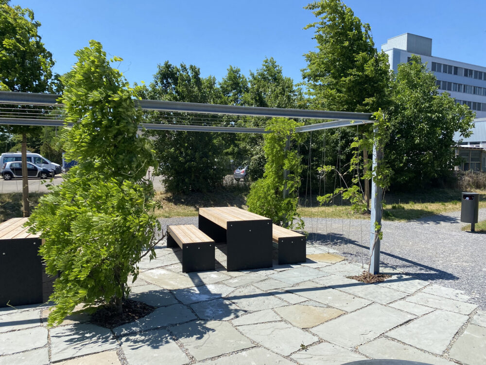 7 am Park_Winterthur_3